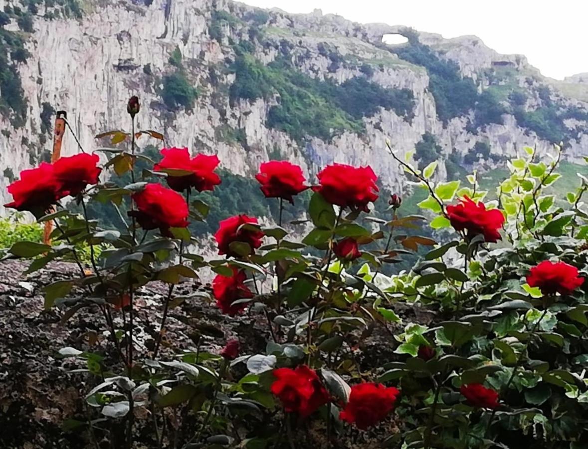 Villa La Perla De Sonabia โอริญอน ภายนอก รูปภาพ